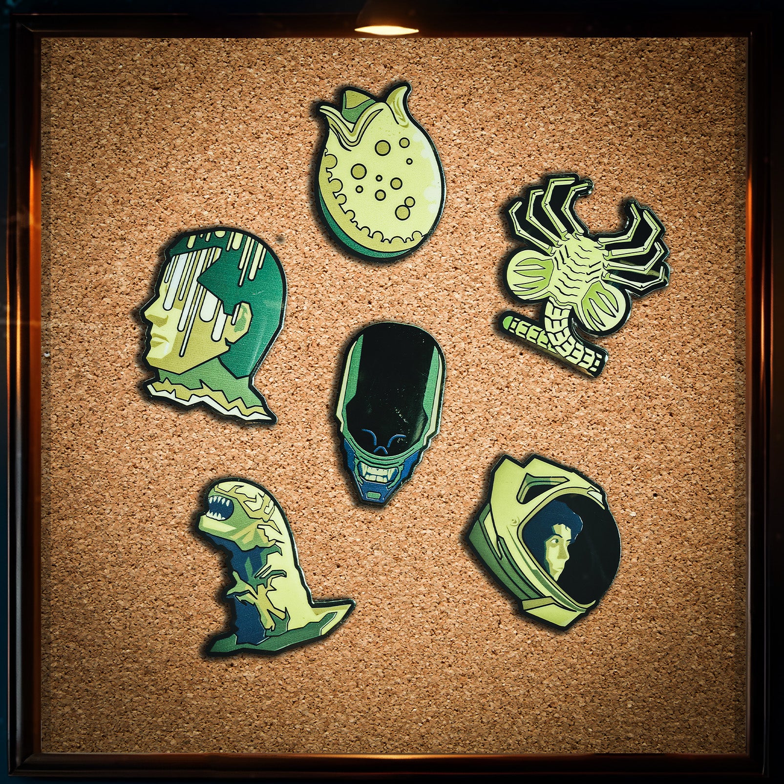 "79" Collectable Pin Badge Set